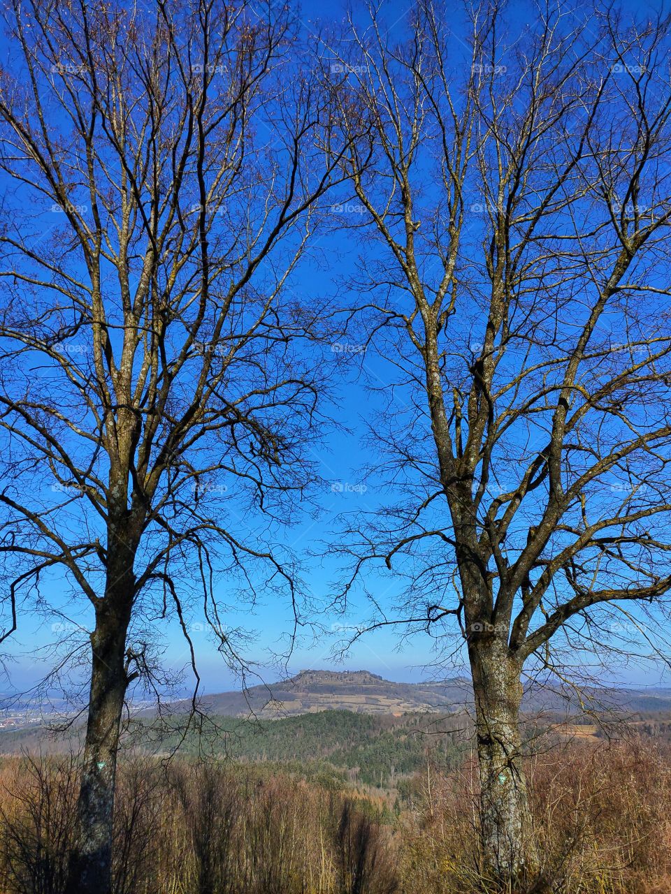 staffelberg in franconia
