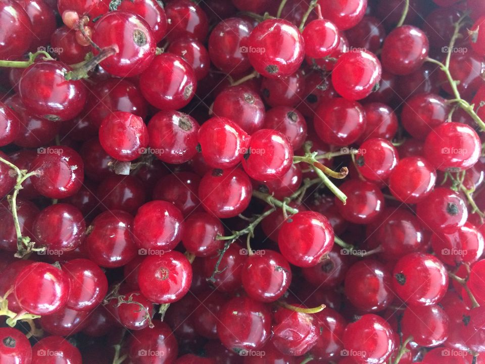 Red currant berry. Fresh Red currants from farms in Germany.