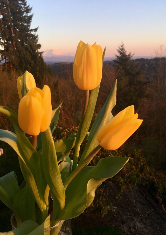 nature