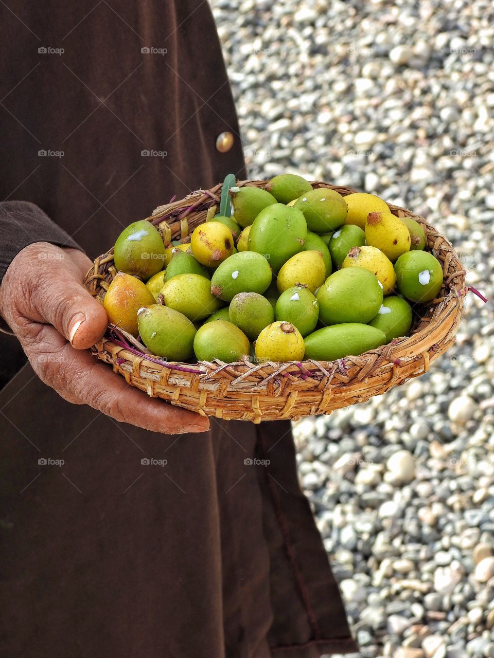 Old hand holding on to the Moroccan "gold"