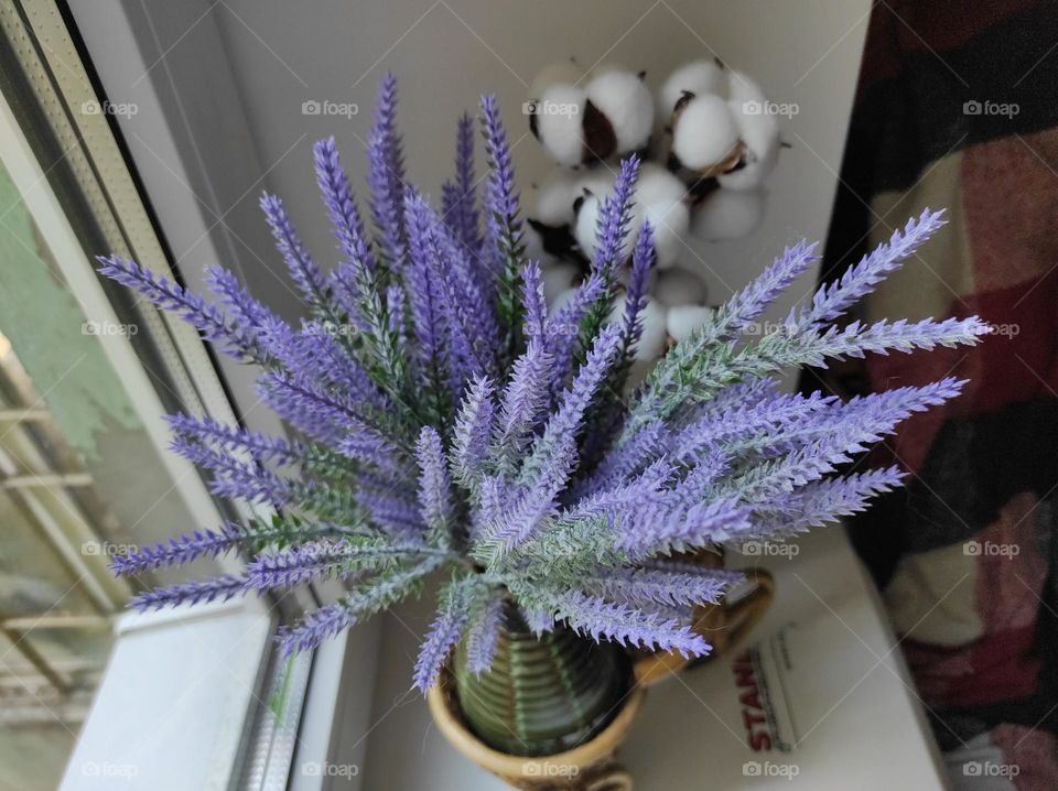 Bouquet of lavender on the window