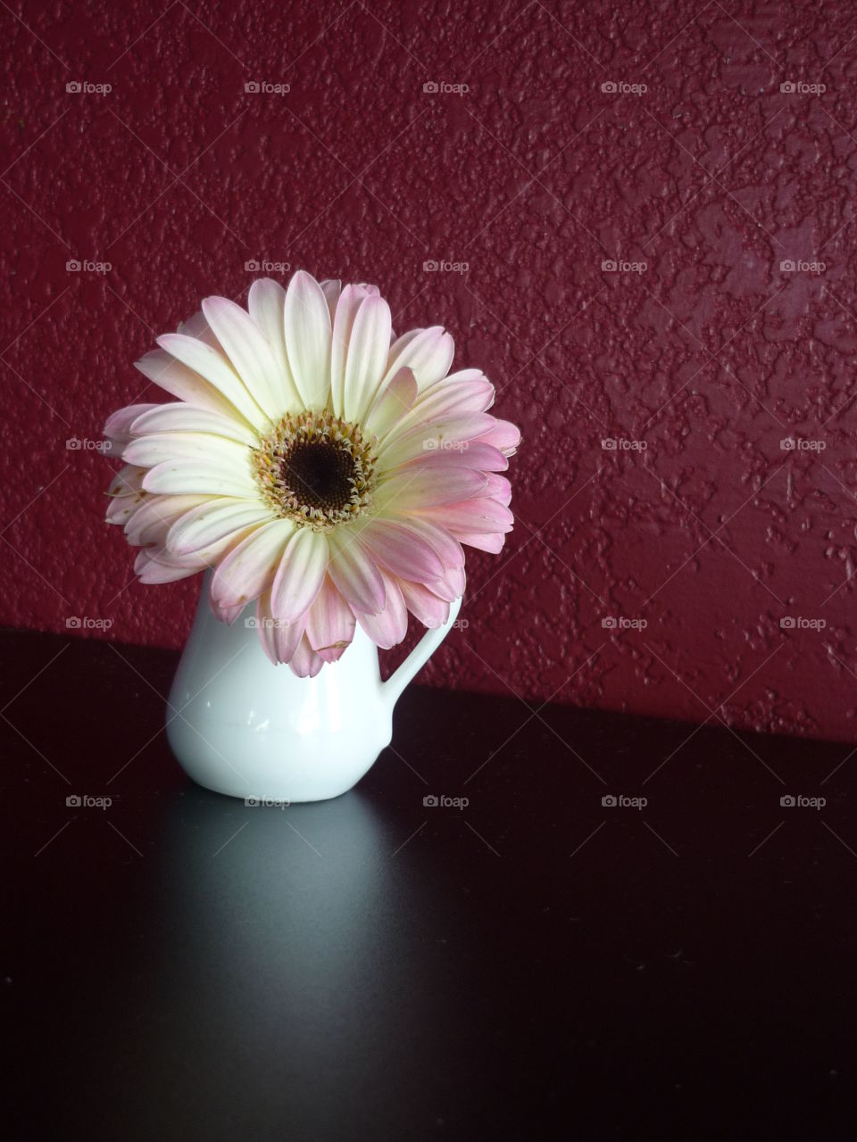 flower in cup