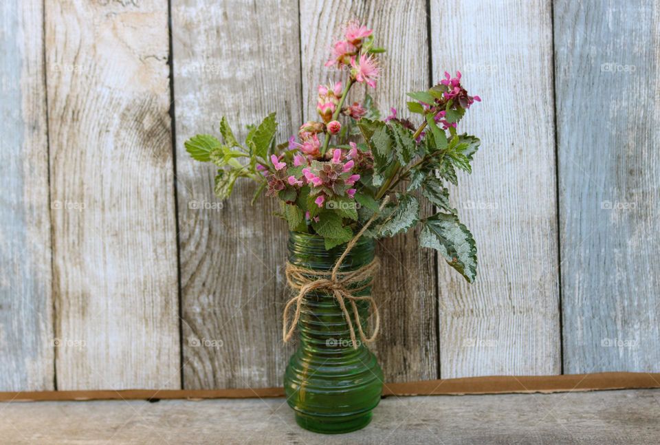 Flower in a vase