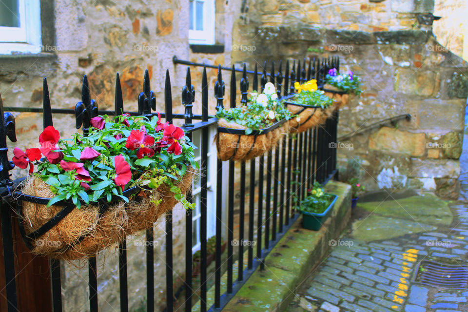 Littles flowers narrow street with medieval ambiance.