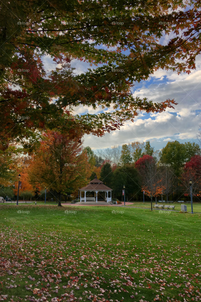 Autumn in the Park
