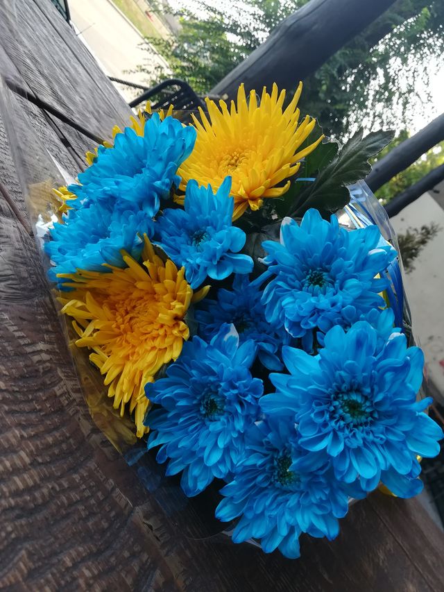 Yellow Flowers