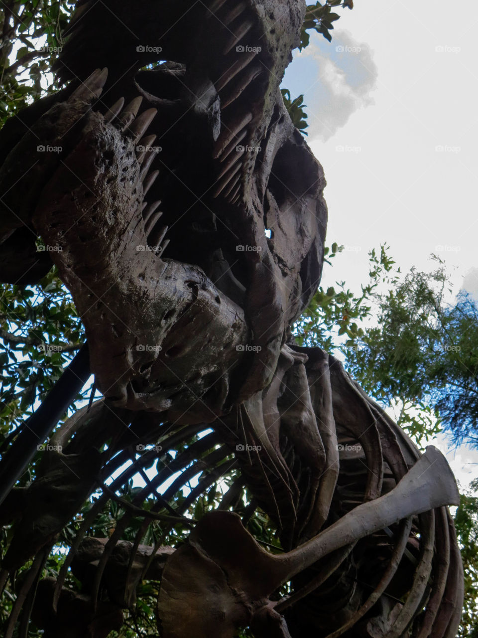Dinosaur "bones" in the queue line for the Dinosaur ride at Disney's Animal Kingdom.