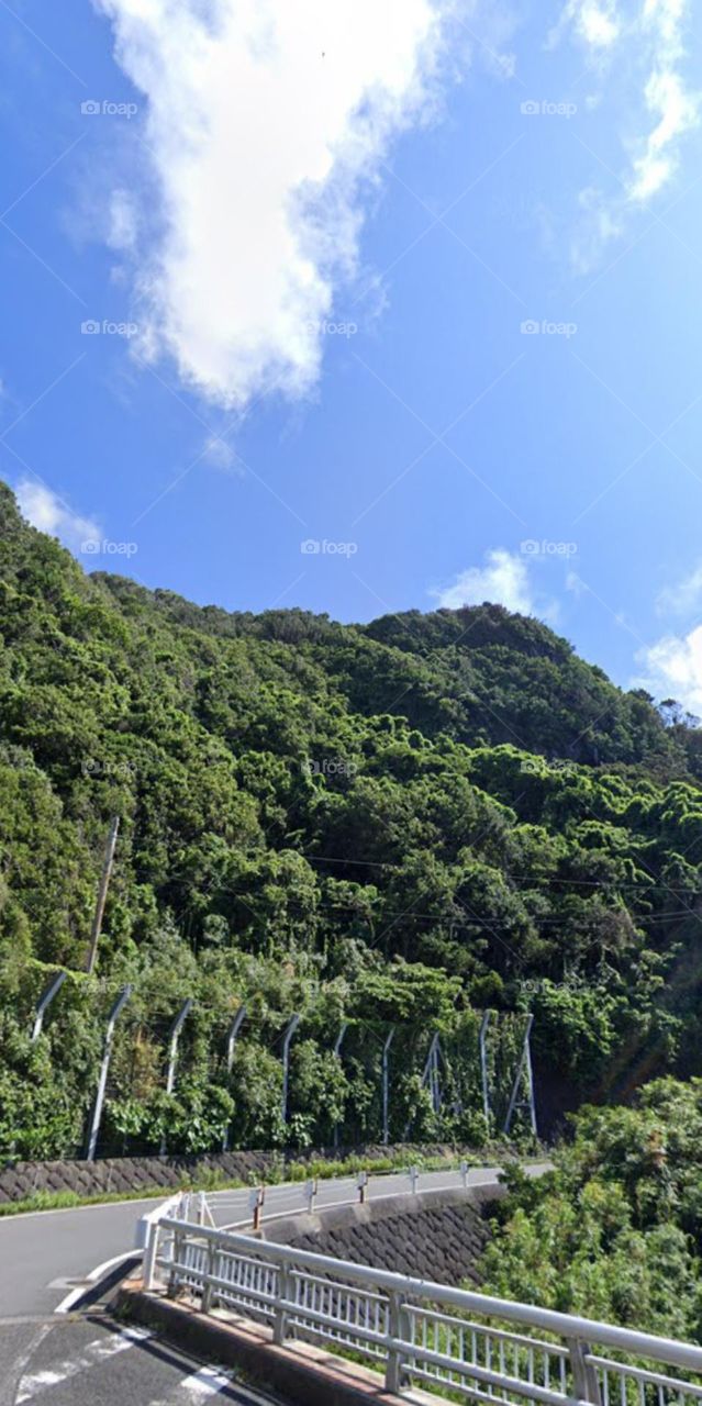 Cung đường màu xanh.