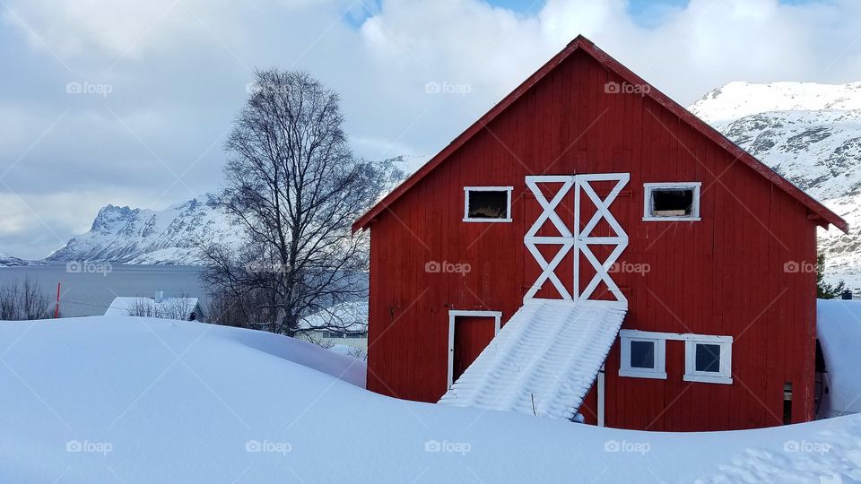 Winter landscapes