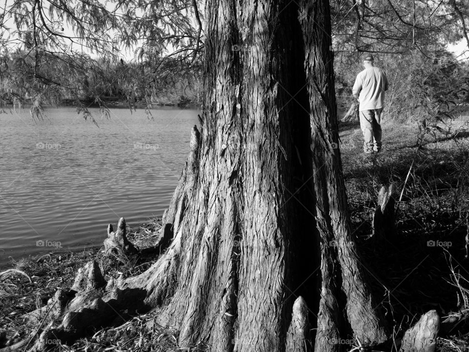 Fishing by the Cypress