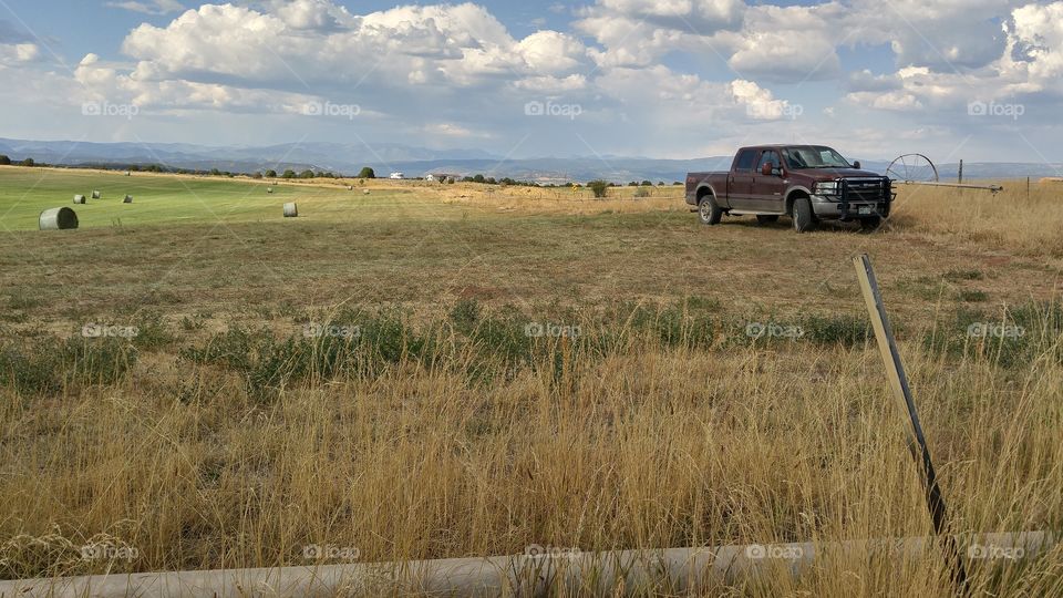 Ford truck in hay field