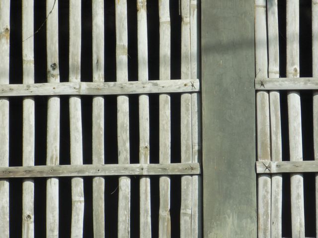 Bamboo fence