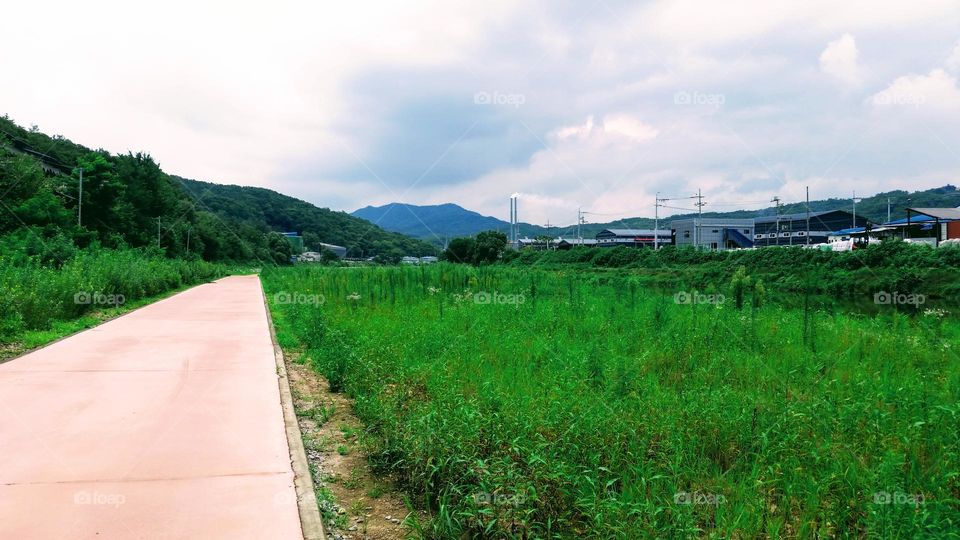 colors of the spring