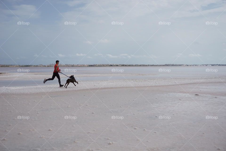 Sunrise#beach#ocean#human#dog