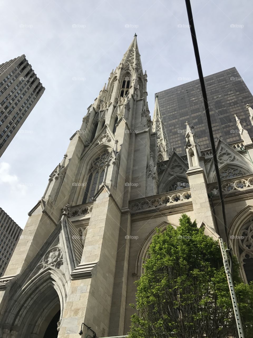 St Patrick's cathedral 

