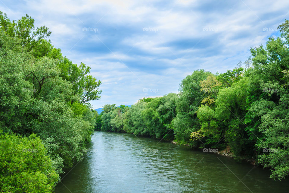 Scenic view of nature