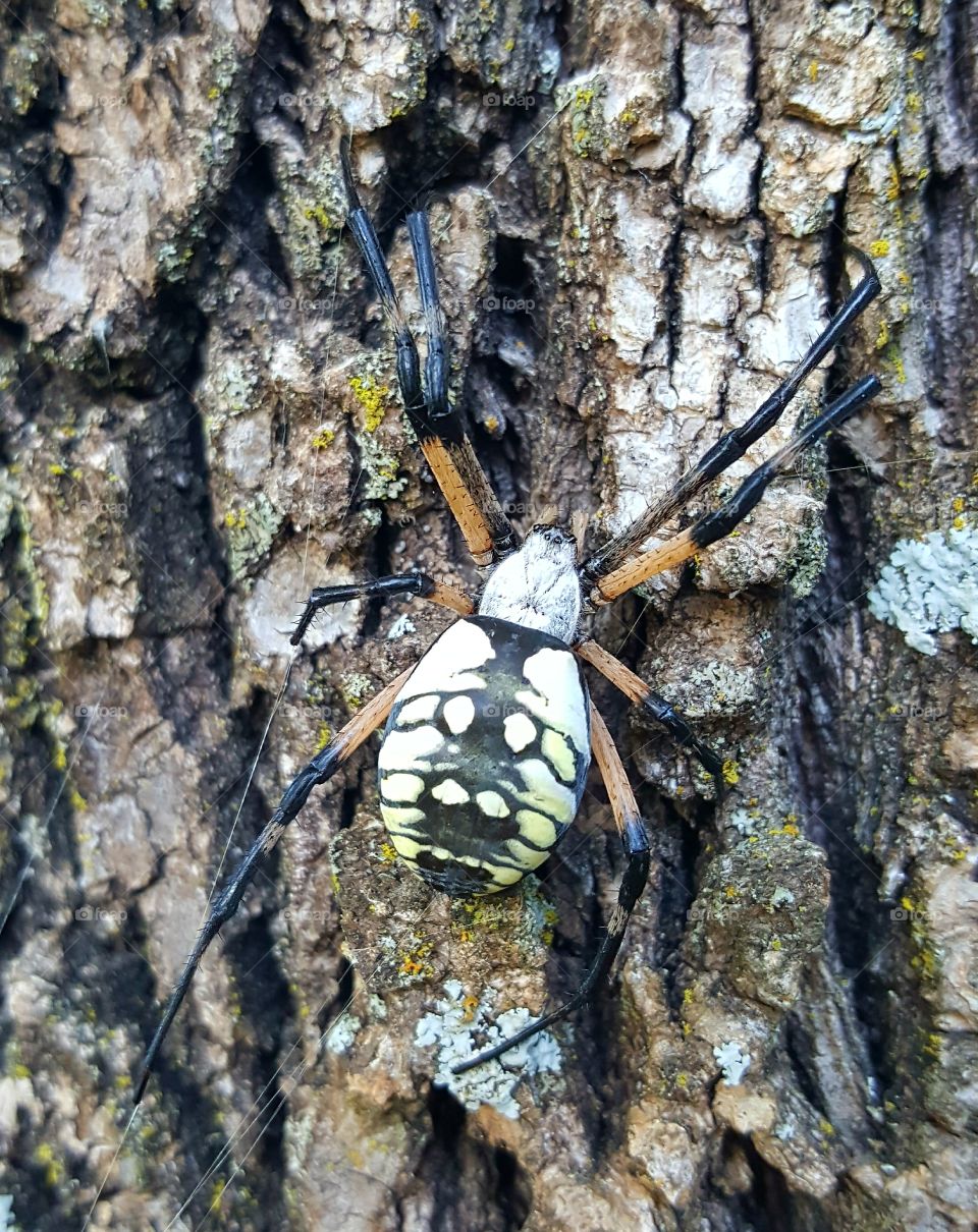 All creatures in nature have a place & fascinate me!