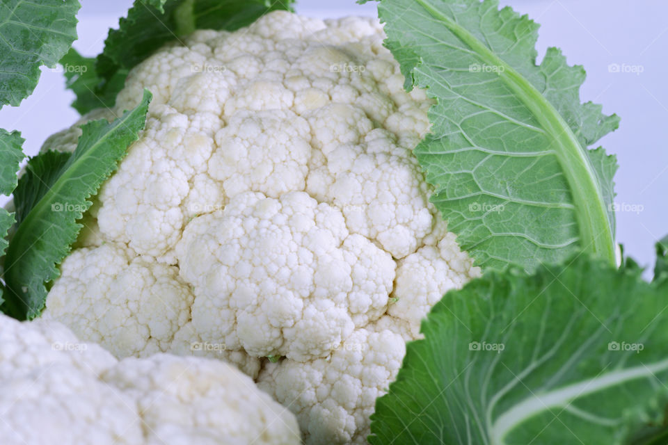 Cauliflower vegetable closeup