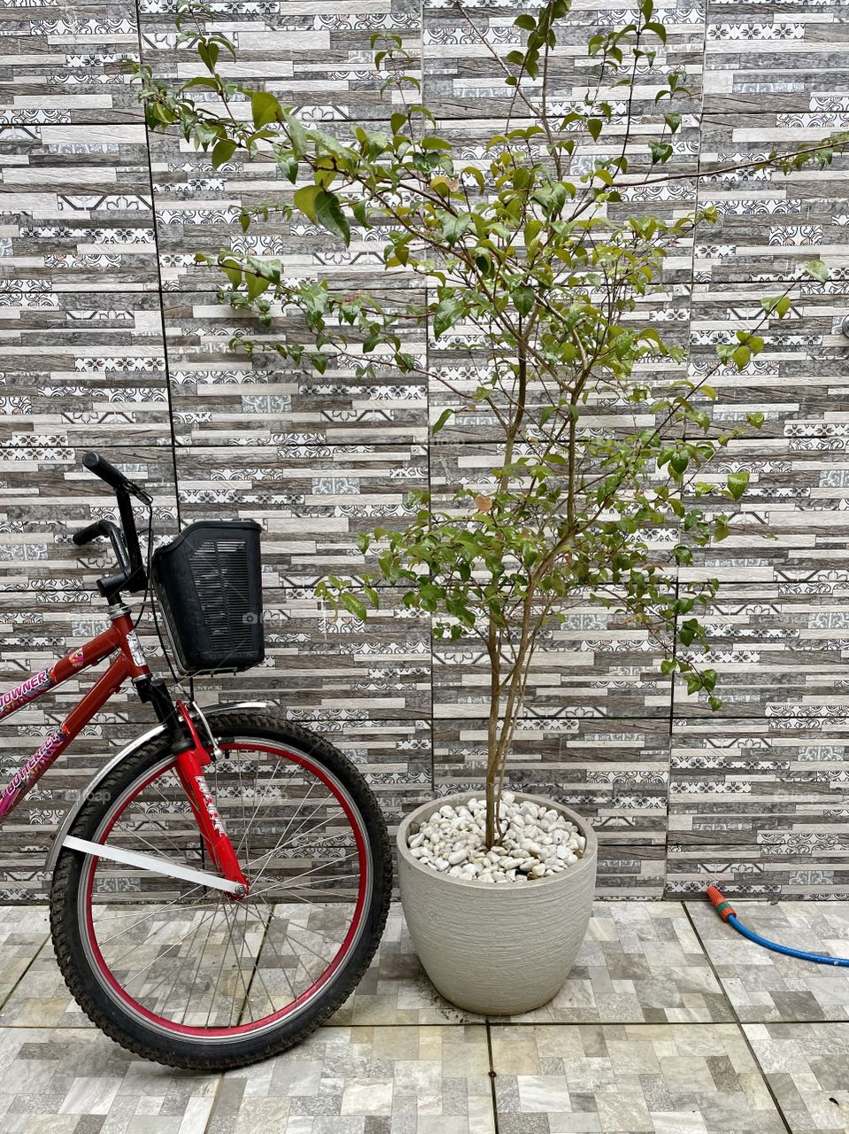 Bicycle on the balcony