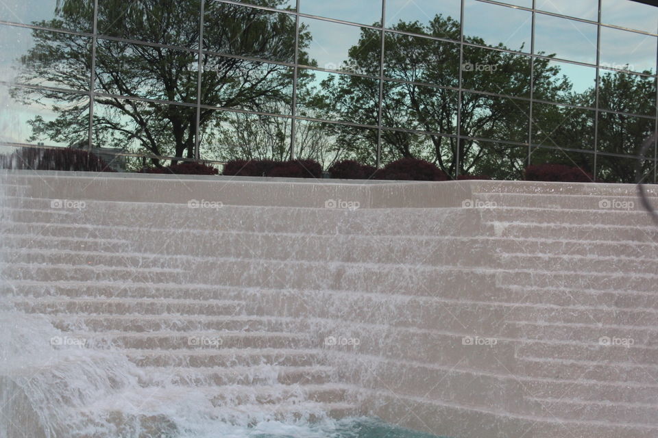 Tree, Outdoors, No Person, Weather, Landscape