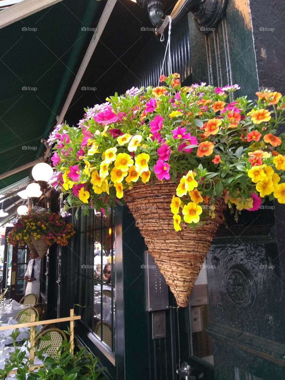 Flowers Outside at Restaurant