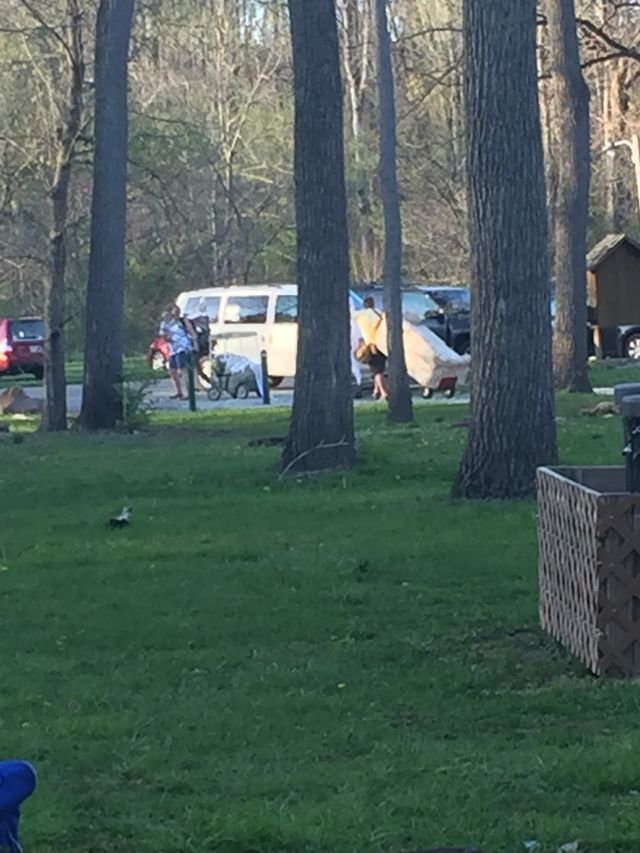 Couch in the park
