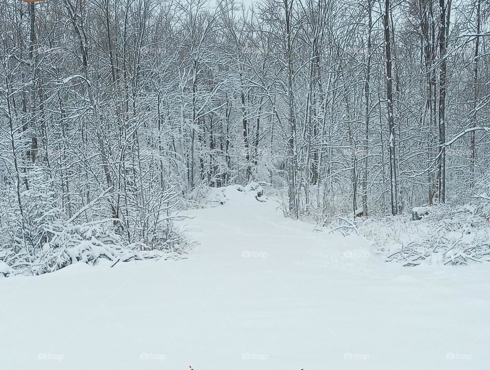 Winter Wonderland 2022