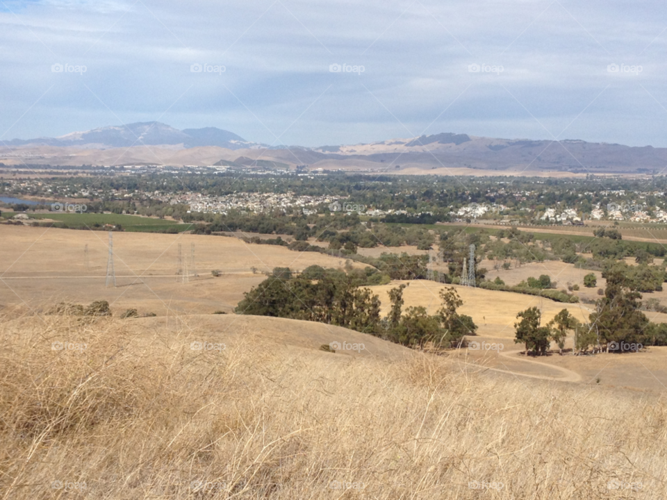livermore ca sky grass trees by stephenkirsh