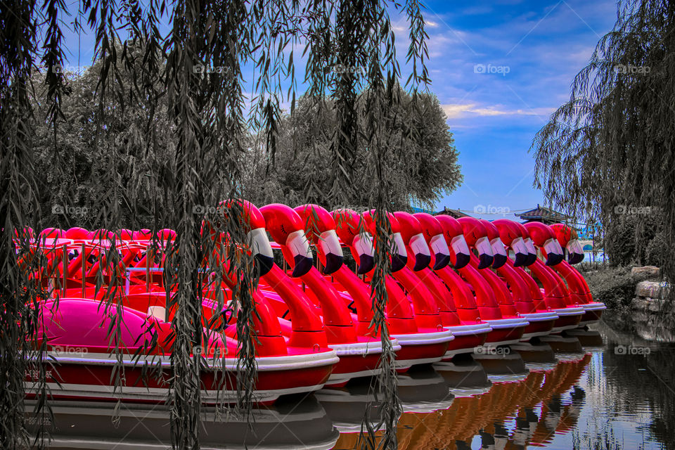 Red flamingo boats