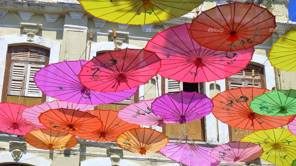 Chinese New Year decoration 