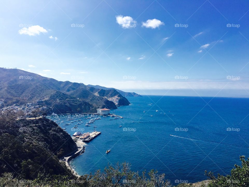  Catalina Island 