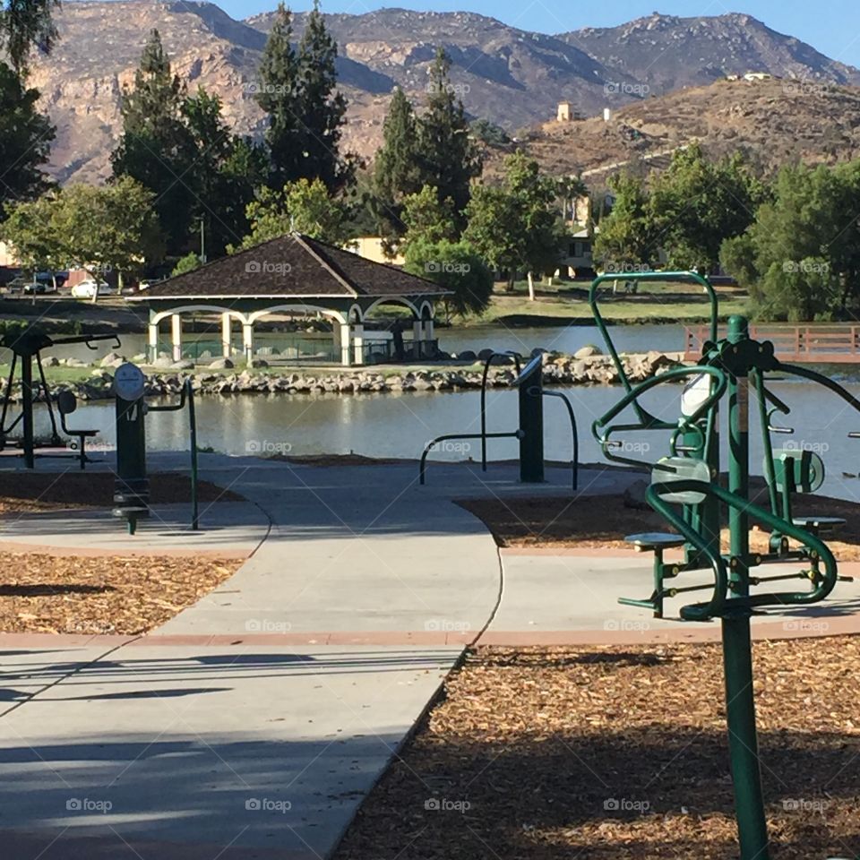 Public Park Serenity