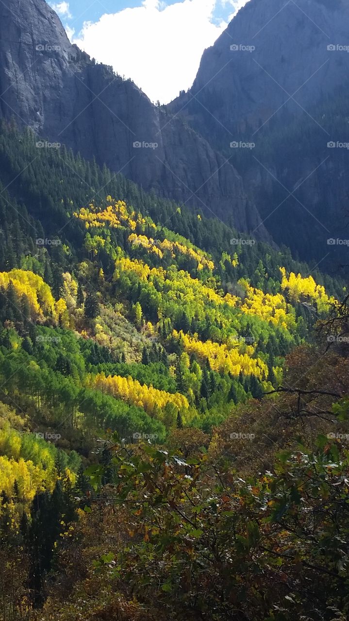 Wood, No Person, Fall, Nature, Mountain