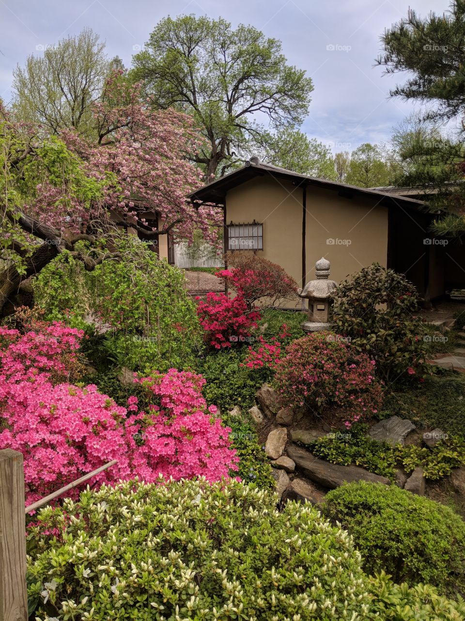 Colorful garden outside of a Japanese tea house.