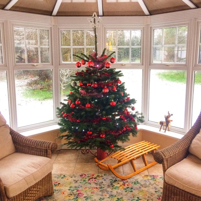 Window, Room, Indoors, House, Furniture