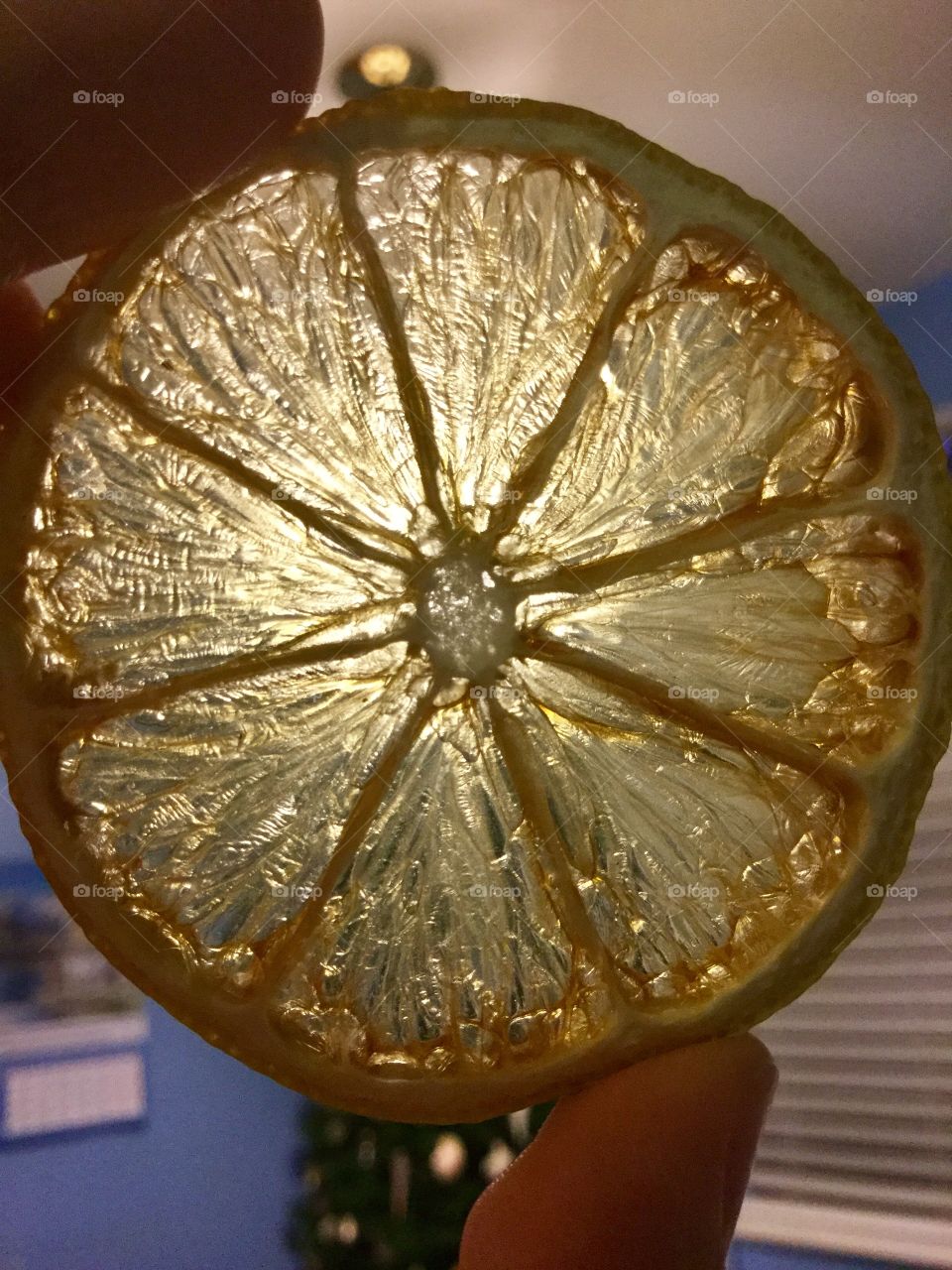Stained glass citrus 