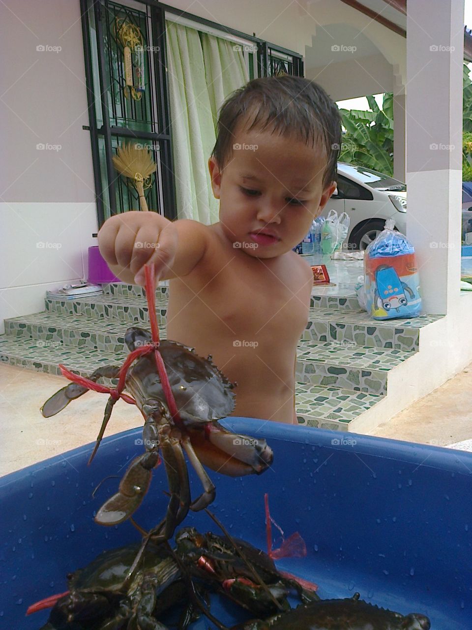 Kid holding crab. young boy get interested at a sea crab