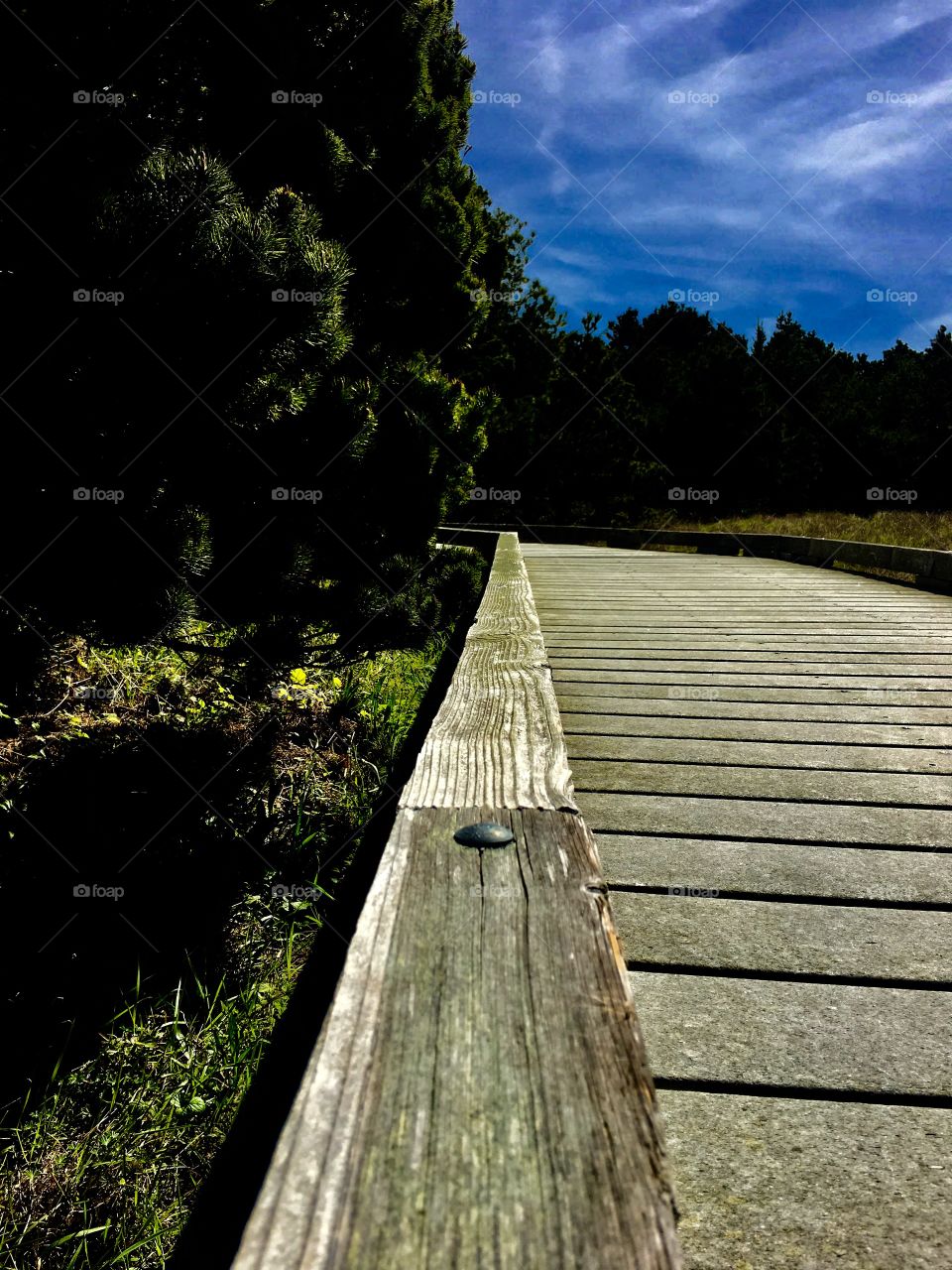 Boardwalk