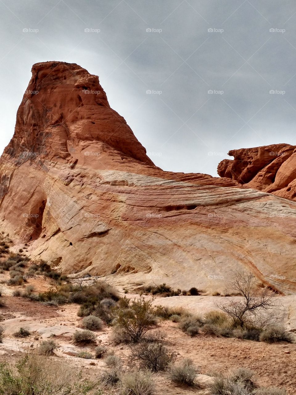 valley of fire rock. trip 2015