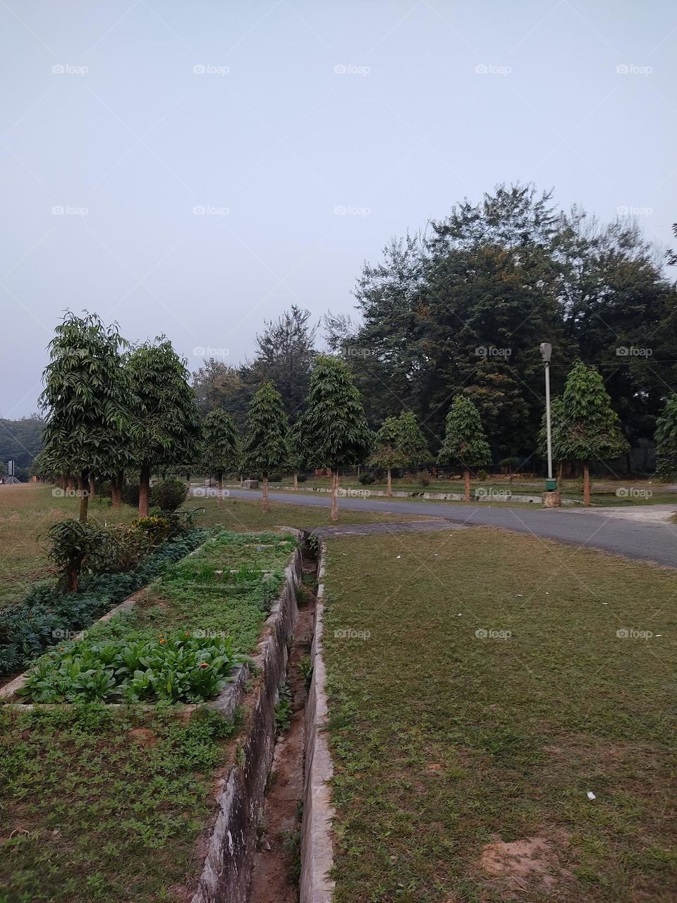 beautiful😍 garden