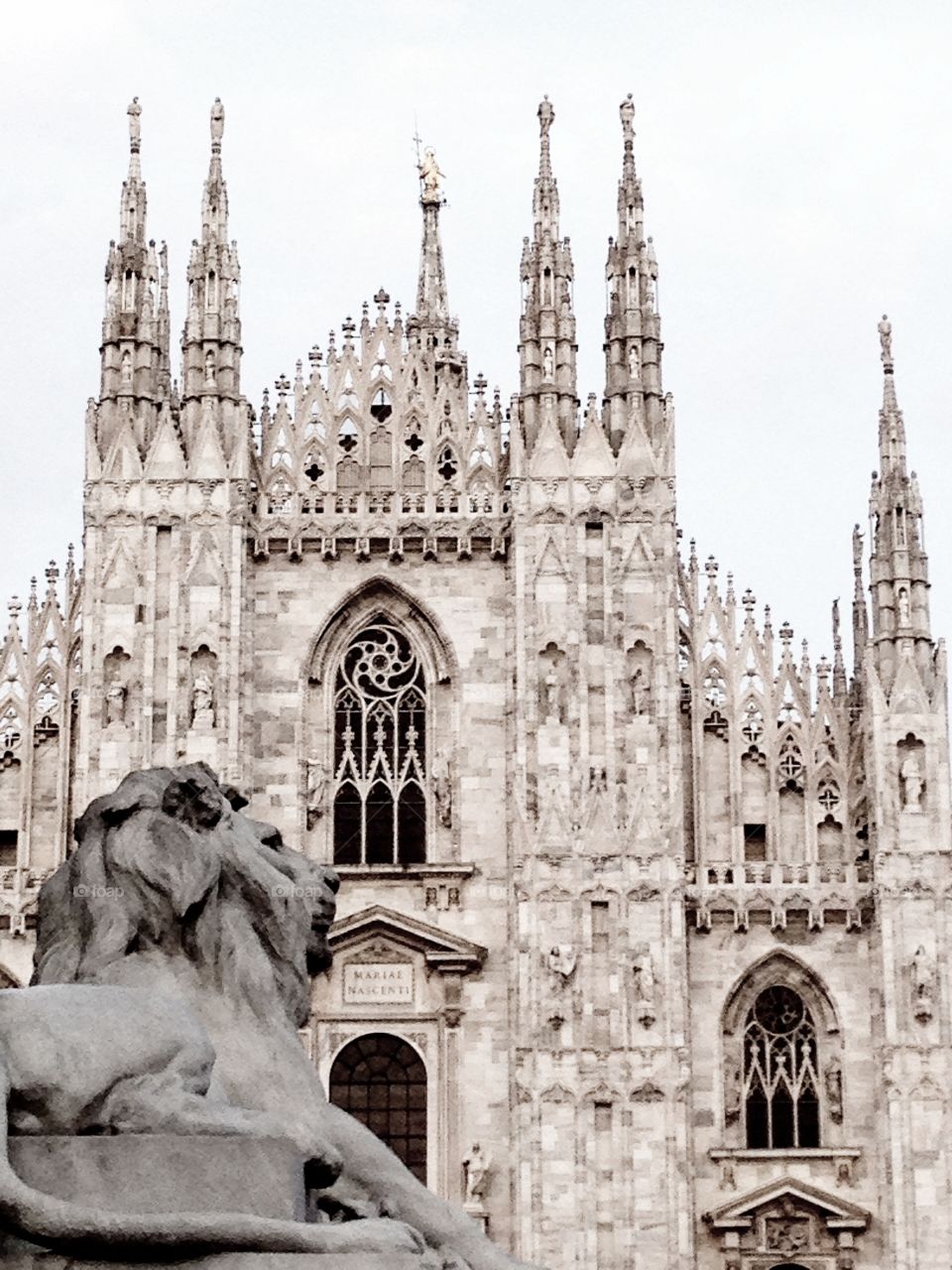 A lion watching over the duomo in Milan