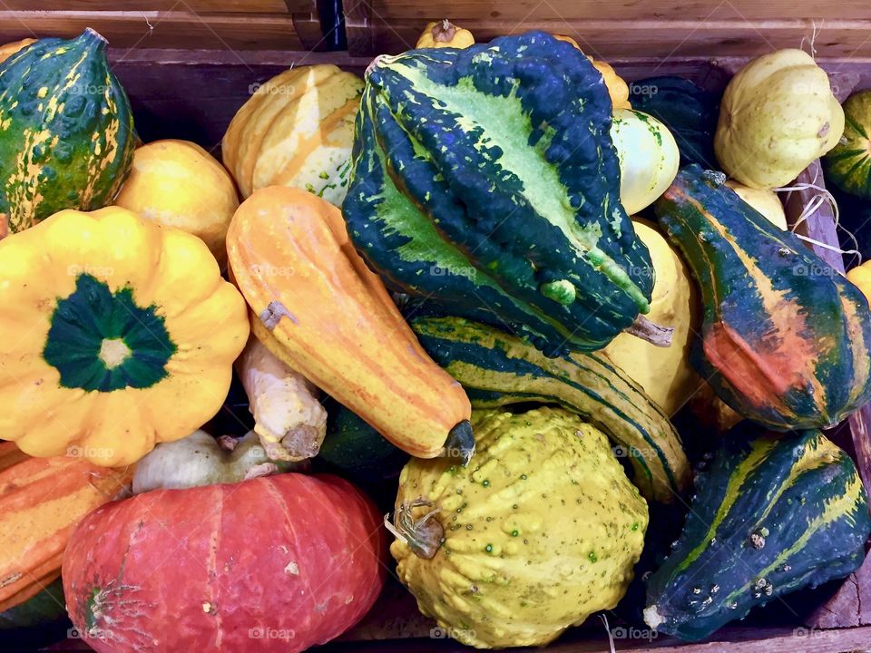 A lot of small pumpkins in wooden box