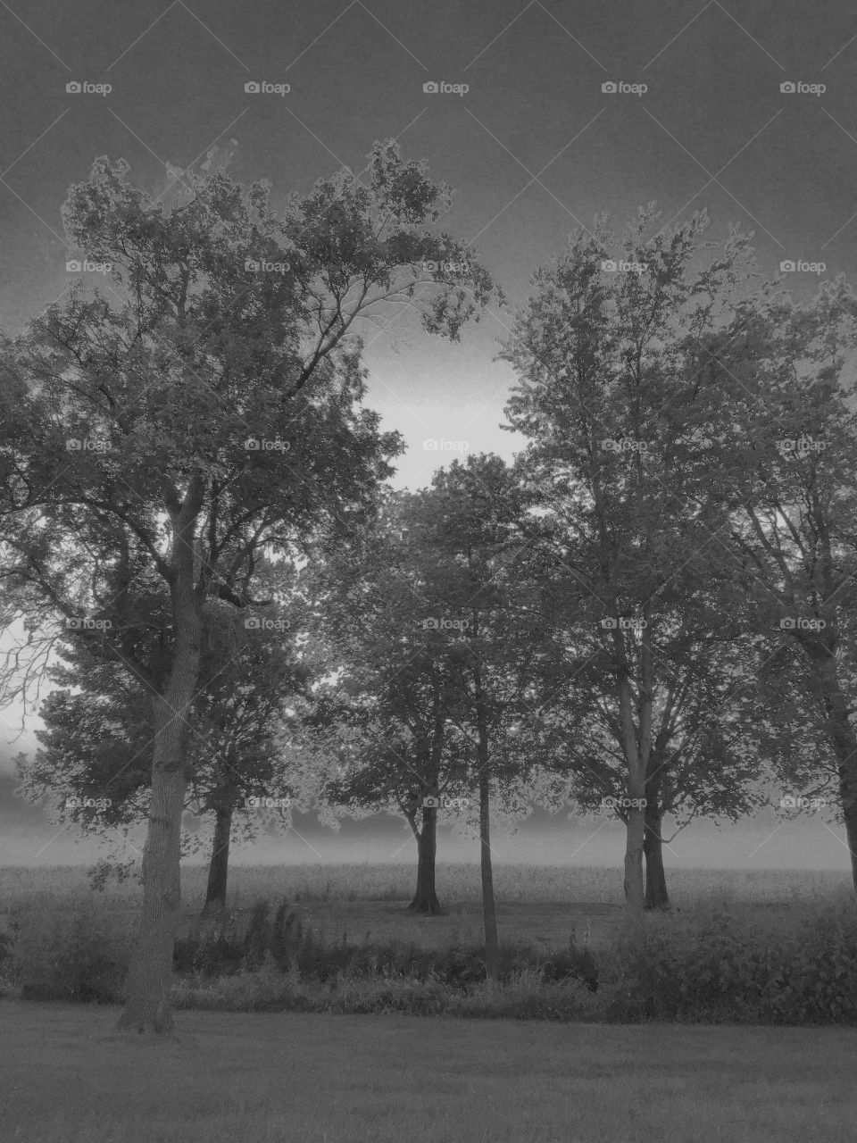 Prairie Series: Ghostly Twilight 