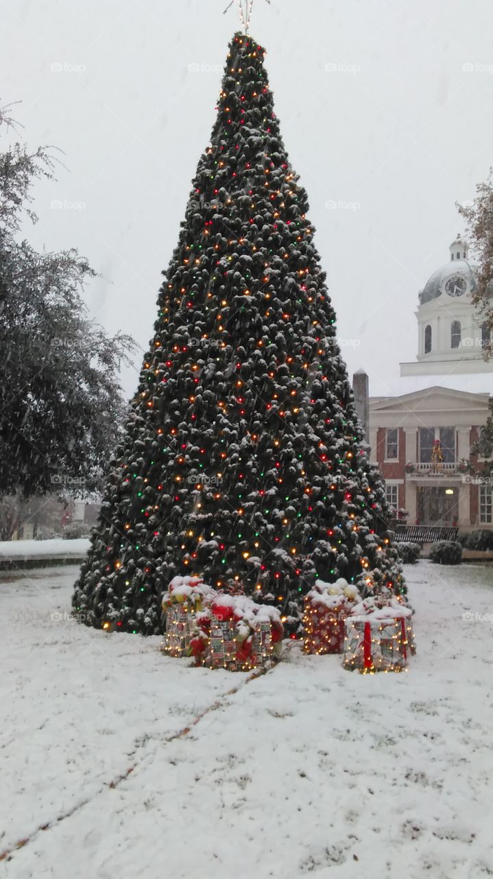 A white Christmas in Northeast Georgia
