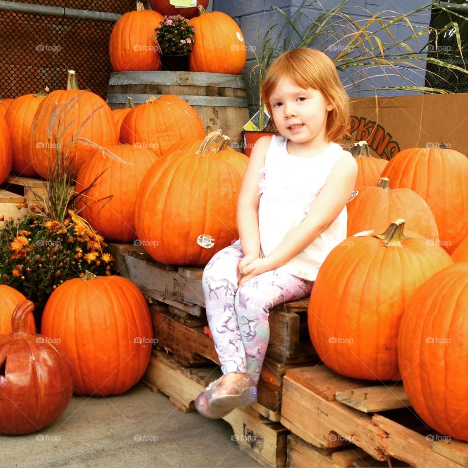 Ginger and the pumpkin . Autumn 
