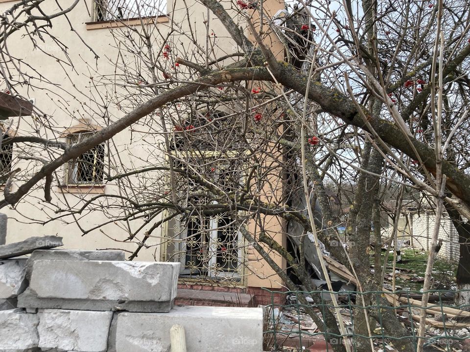 new life after ruining 