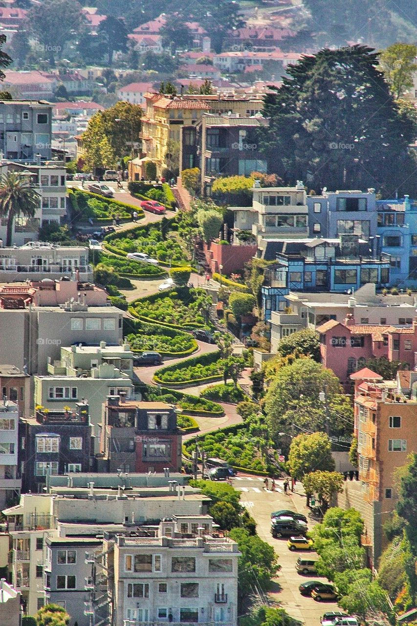 Lombard zoom