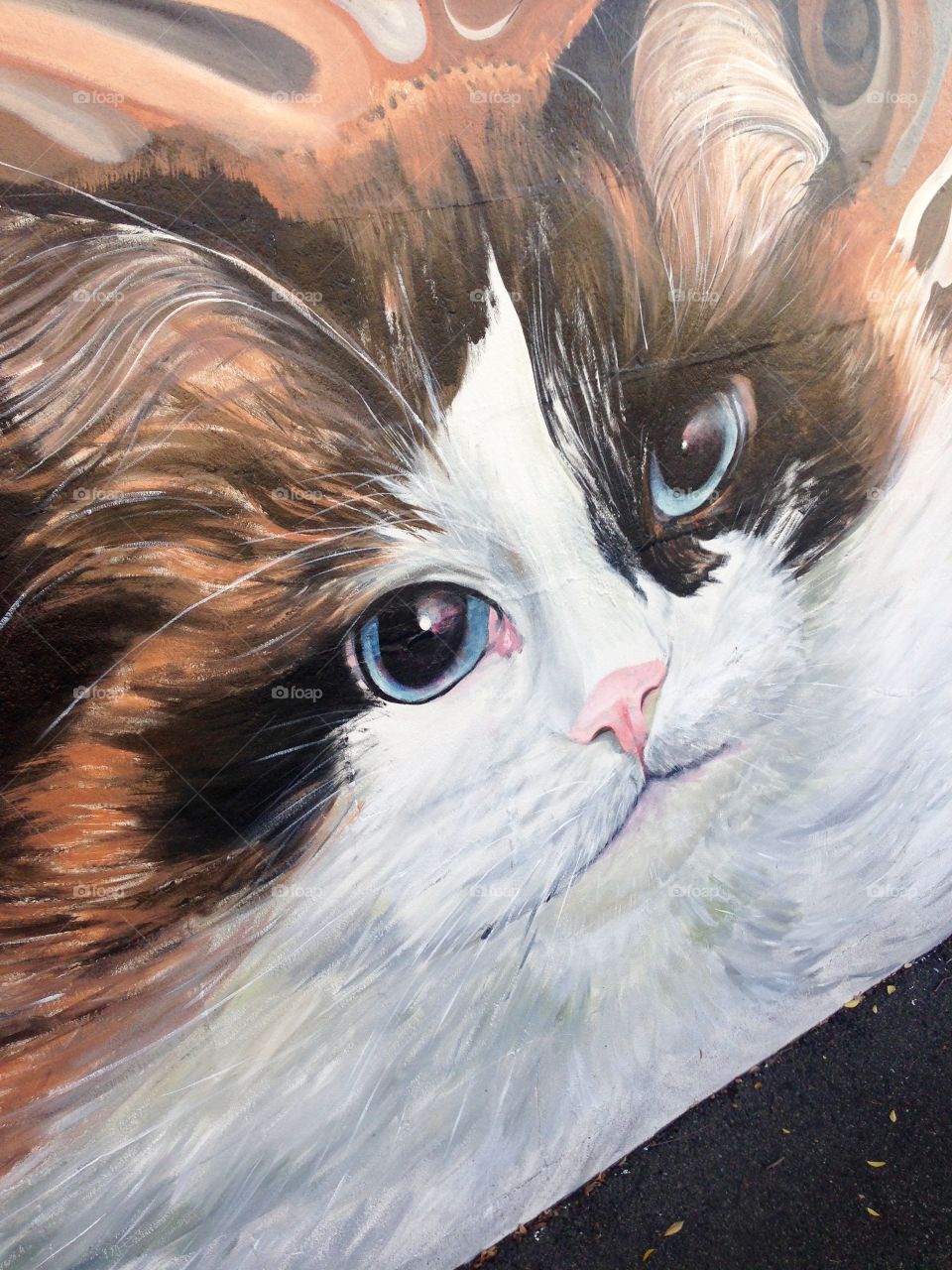Painting cat 