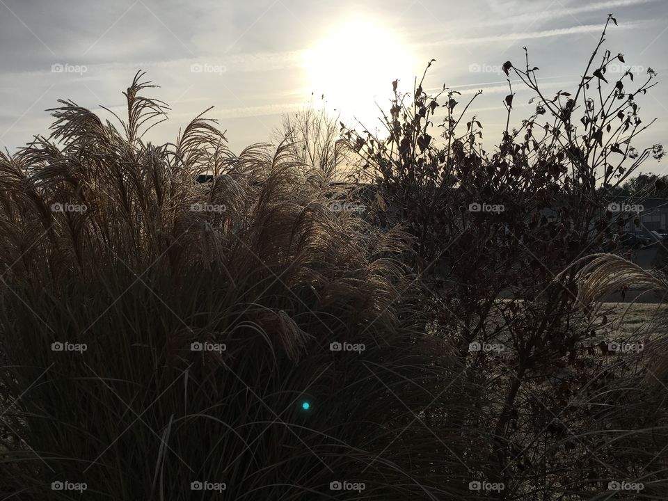 December morning frost in CT