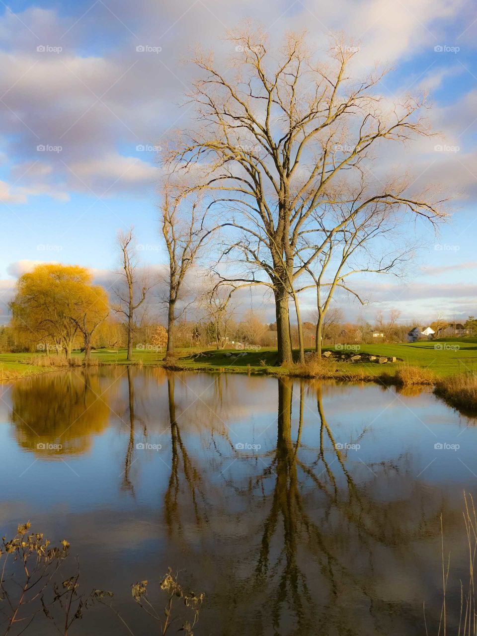 Sunset and Fall reflection